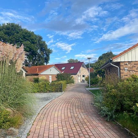 Feriendorf Suedstrand Haus 36 بيلزيرهاكين المظهر الخارجي الصورة