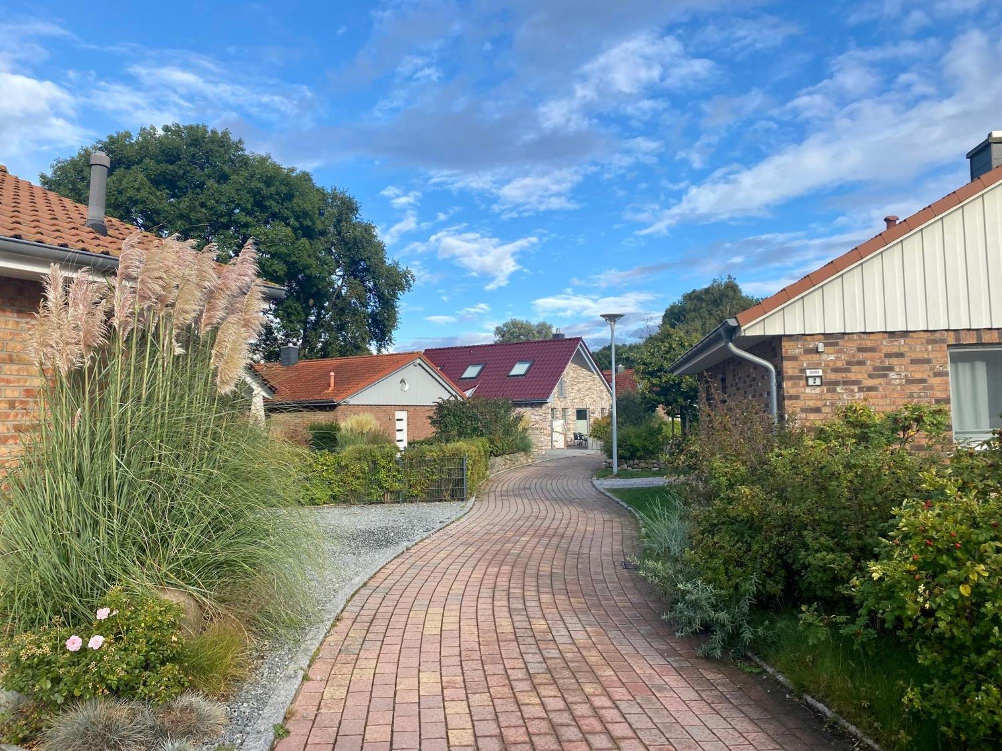 Feriendorf Suedstrand Haus 36 بيلزيرهاكين المظهر الخارجي الصورة
